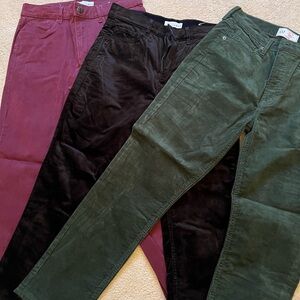 Pants Trio in Burgundy, Black, and Green